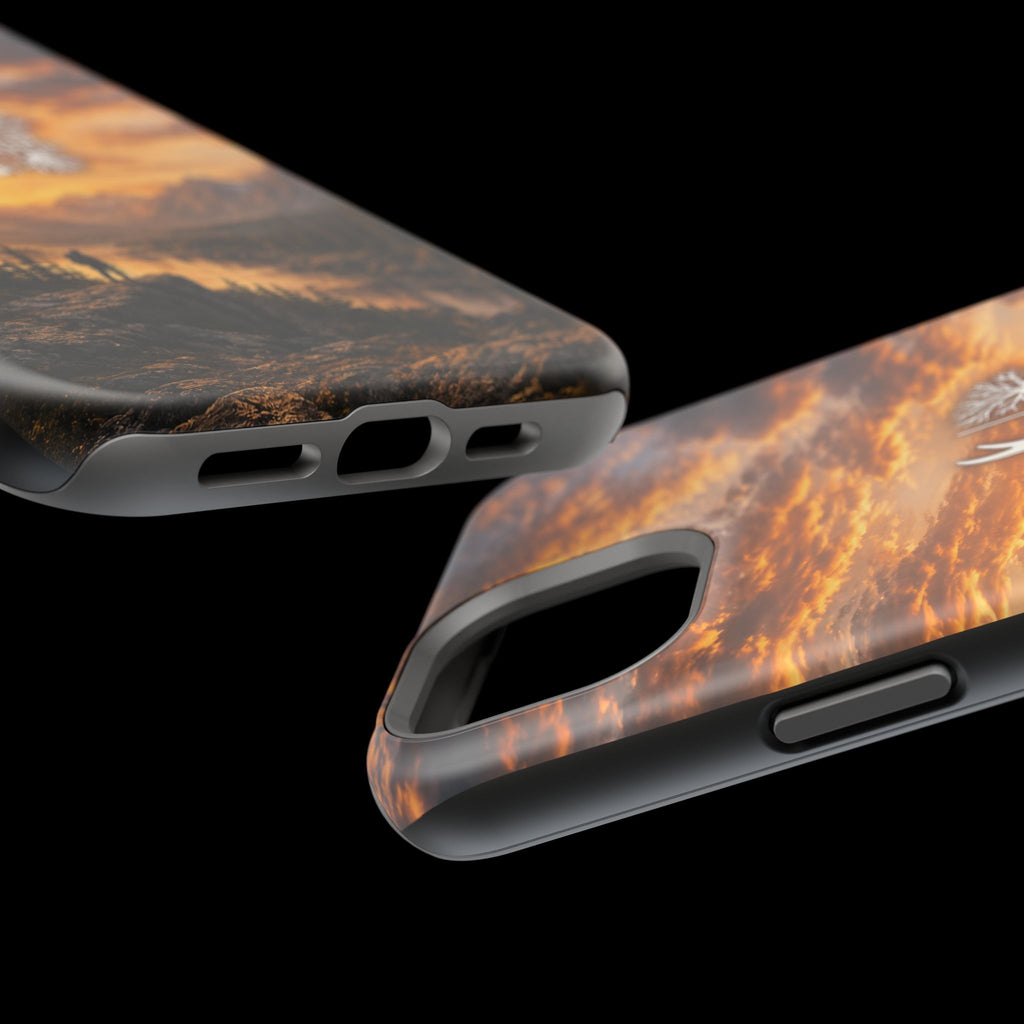 Magnetic Impact-Resistant Cases